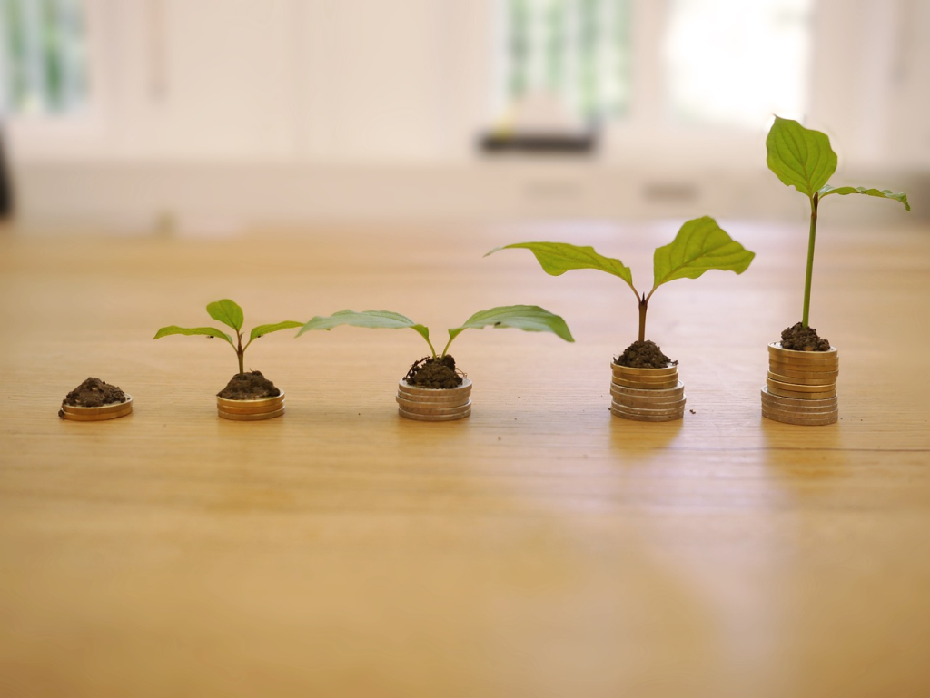 croissance ROI